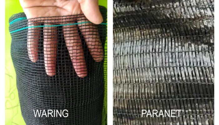 Beda Waring Dan Paranet