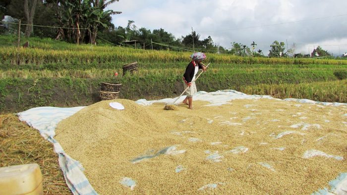 JUAL TERPAL TERDEKAT