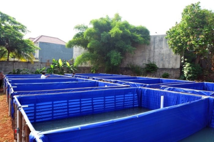 TERPAL UNTUK KOLAM YANG BAGUS