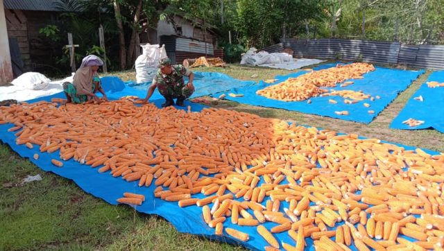 TERPAL UNTUK PERKEBUNAN