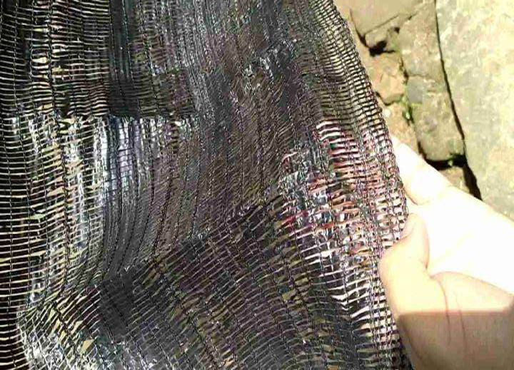 Jual Paranet di Prabumulih